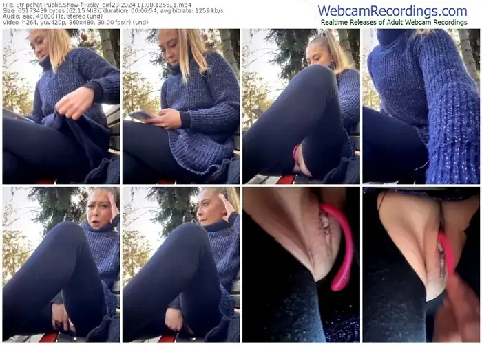 2024/11/08/stripchat-risky_girl23-12-55-11