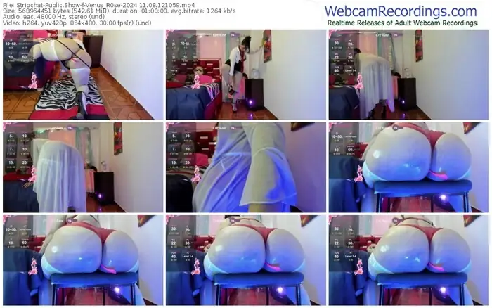 2024/11/08/stripchat-venus_r0se-12-10-59
