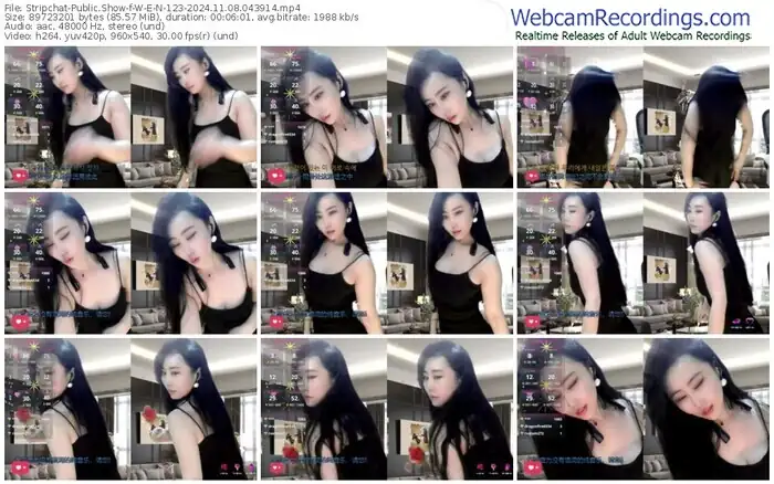 2024/11/08/stripchat-w-e-n-123-04-39-14