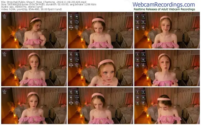 2024/11/08/stripchat-_rose_charming_-23-14-26