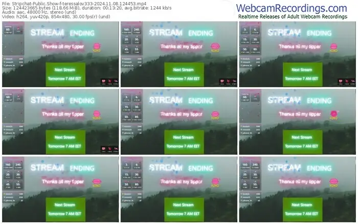 2024/11/08/stripchat-teressalov333-12-44-53