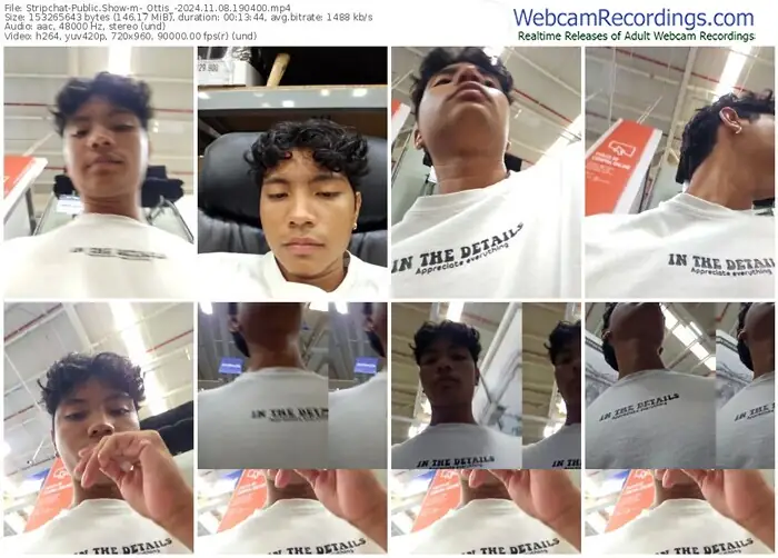 2024/11/08/stripchat-_ottis_-19-04-00