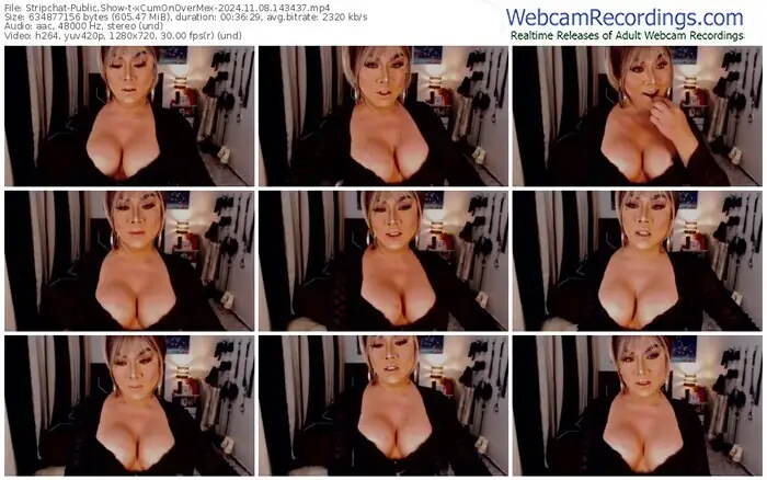 2024/11/08/stripchat-xcumonovermex-14-34-37