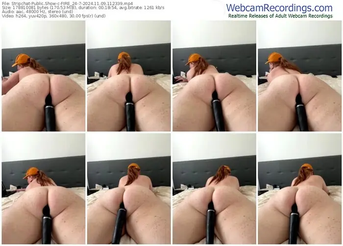 2024/11/09/stripchat-fire_24-7-11-23-39