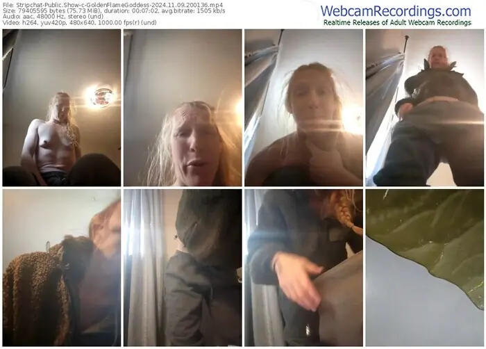 2024/11/09/stripchat-goldenflamegoddess-20-01-36