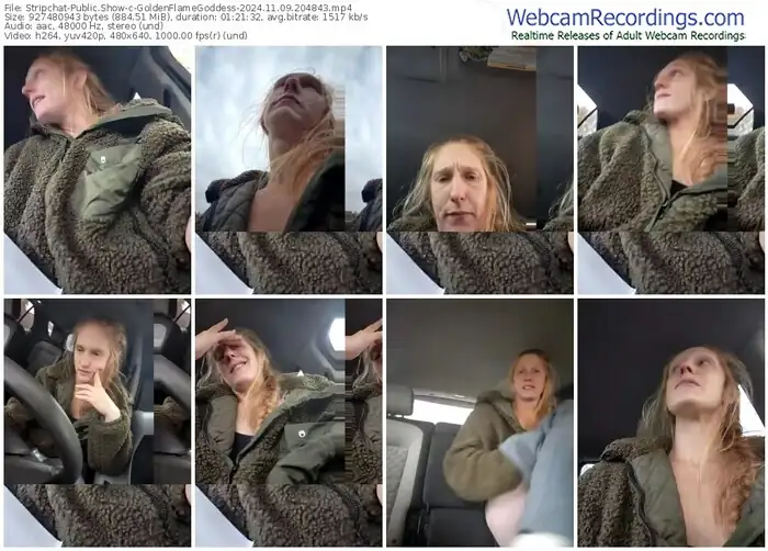 2024/11/09/stripchat-goldenflamegoddess-20-48-43