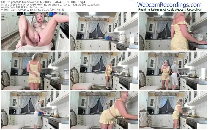 2024/11/09/stripchat-tunderose1-10-40-07