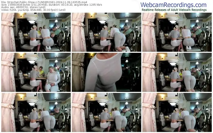 2024/11/09/stripchat-tunderose1-16-35-35