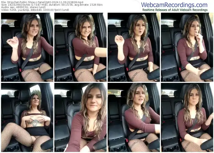 2024/11/09/stripchat-taneil2pt0-22-28-28