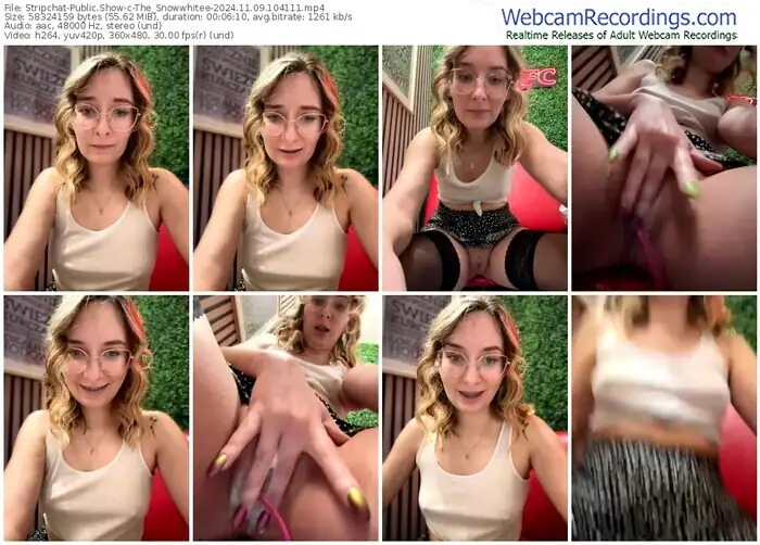 2024/11/09/stripchat-the_snowwhitee-10-41-11