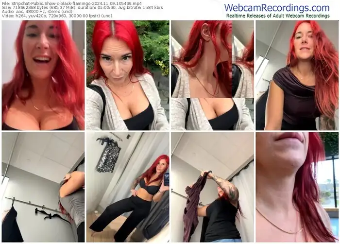 2024/11/09/stripchat-black-flamingo-10-54-39
