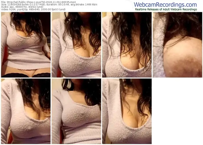 2024/11/09/stripchat-eva750-18-00-35