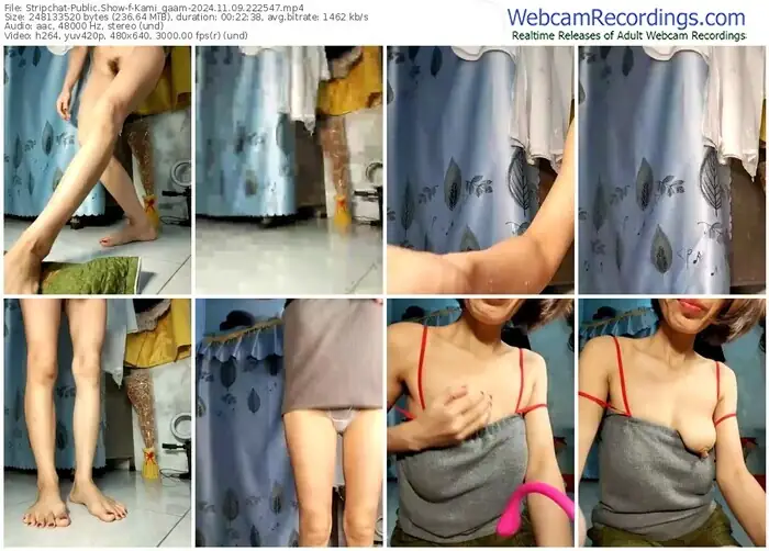 2024/11/09/stripchat-kami_gaam-22-25-47