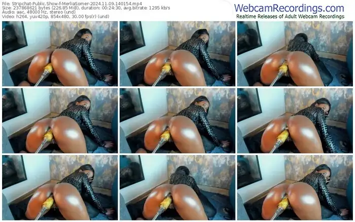 2024/11/09/stripchat-merliasomer-14-01-54