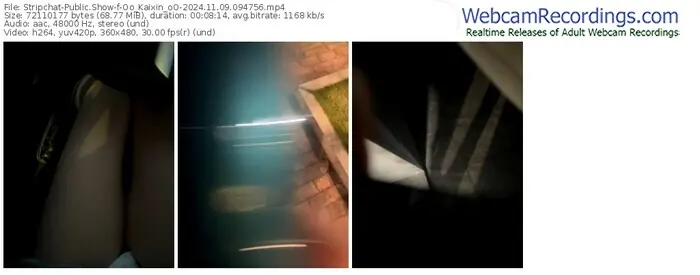 2024/11/09/stripchat-oo_kaixin_oo-09-47-56