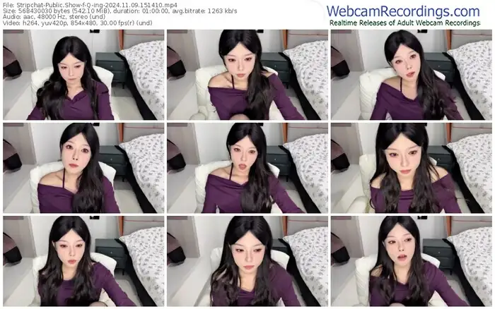 2024/11/09/stripchat-q-ing-15-14-10