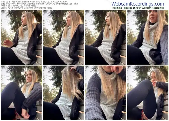 2024/11/09/stripchat-risky_girl23-11-36-39