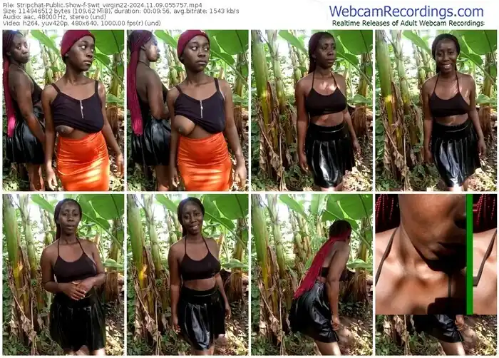 2024/11/09/stripchat-swit_virgin22-05-57-57