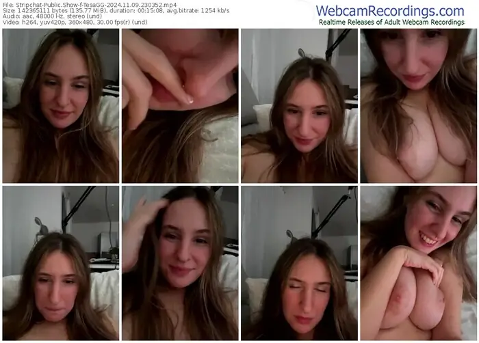 2024/11/09/stripchat-tesagg-23-03-52