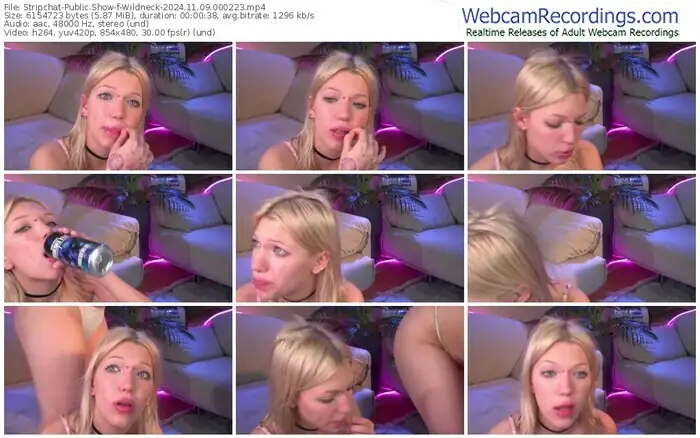 2024/11/09/stripchat-wildneck-00-02-23