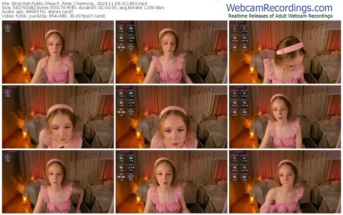 2024/11/09/stripchat-_rose_charming_-01-19-03