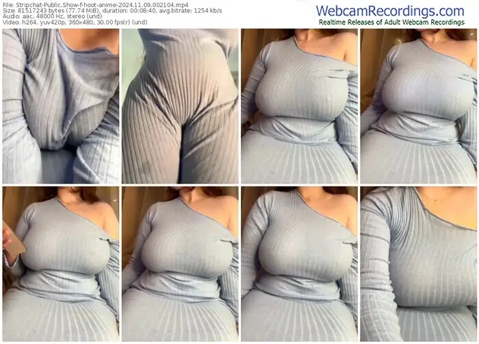 2024/11/09/stripchat-hoot-anime-00-21-04