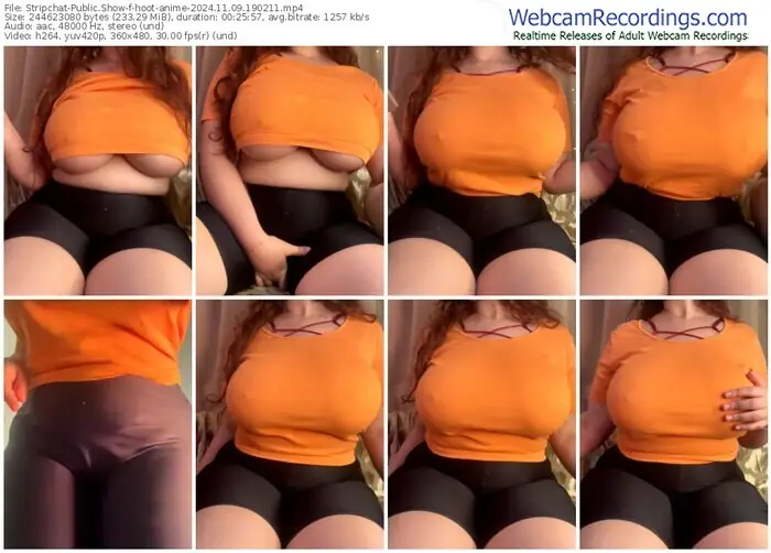 2024/11/09/stripchat-hoot-anime-19-02-11