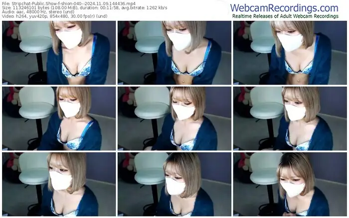 2024/11/09/stripchat-shion-040--14-44-36