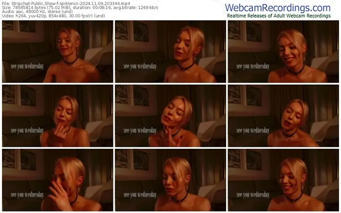 2024/11/09/stripchat-spiklencii-20-33-44