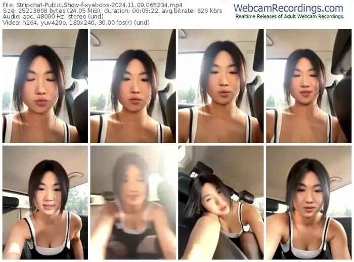 2024/11/09/stripchat-xyebobs-06-52-34
