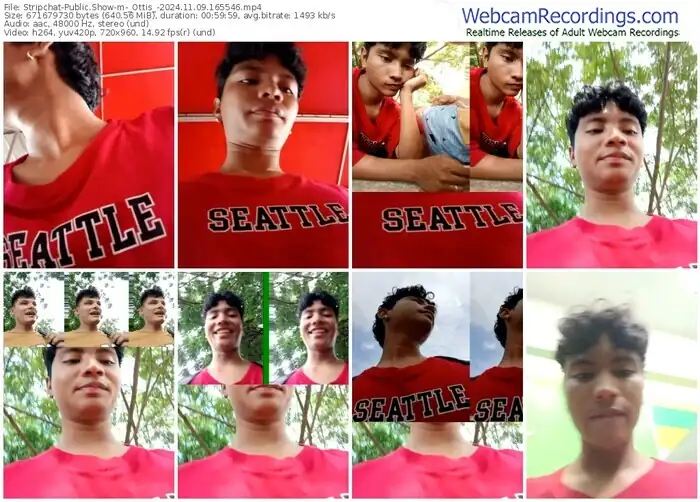 2024/11/09/stripchat-_ottis_-16-55-46