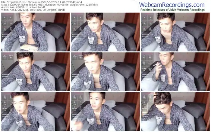 2024/11/09/stripchat-w156156-23-30-42