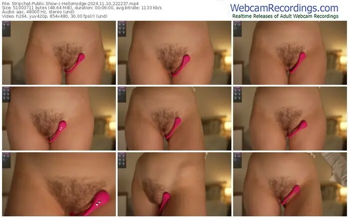 2024/11/10/stripchat-hellohodge-22-22-37