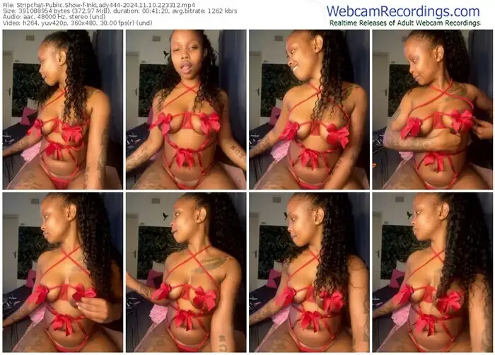 2024/11/10/stripchat-inklady444-22-33-12