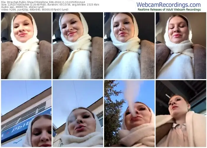 2024/11/10/stripchat-morphine_666-03-53-54