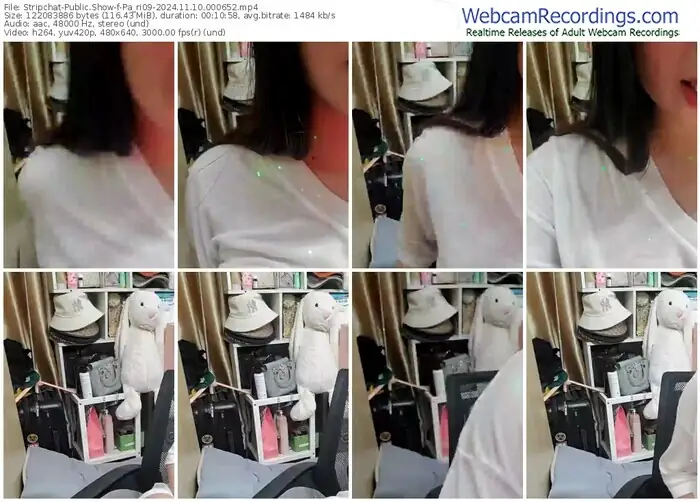 2024/11/10/stripchat-pa_ri09-00-06-52
