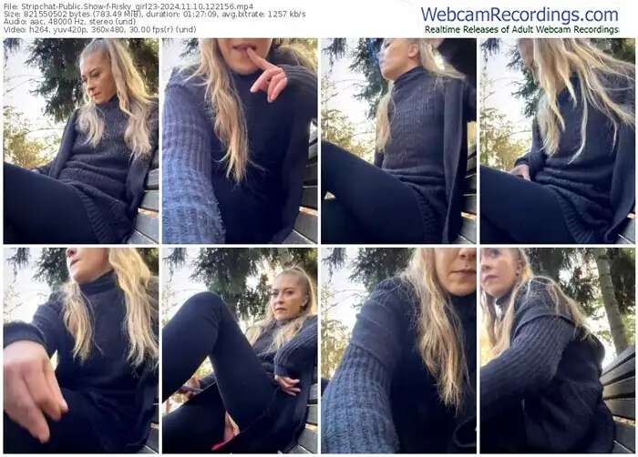 2024/11/10/stripchat-risky_girl23-12-21-56