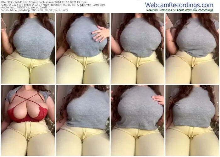 2024/11/10/stripchat-hoot-anime-03-21-19