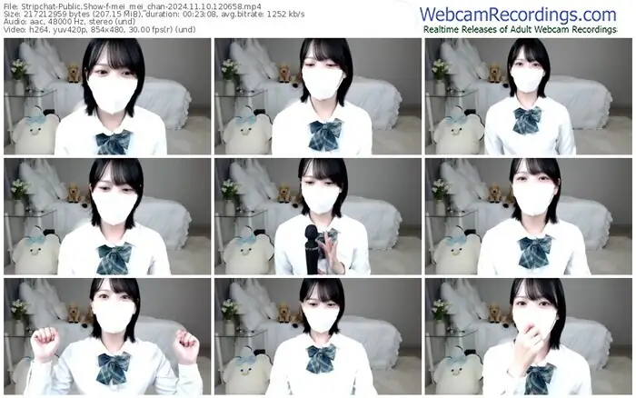 2024/11/10/stripchat-mei_mei_chan-12-06-58