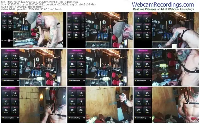 2024/11/10/stripchat-handybro-19-48-06