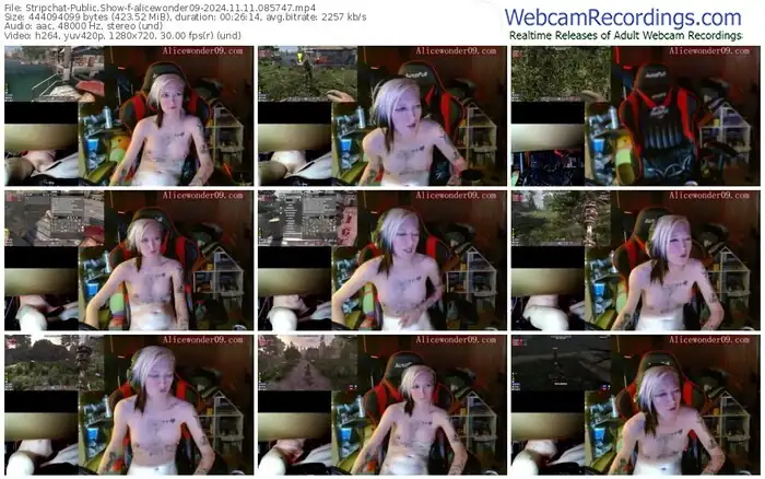 2024/11/11/stripchat-alicewonder09-08-57-47