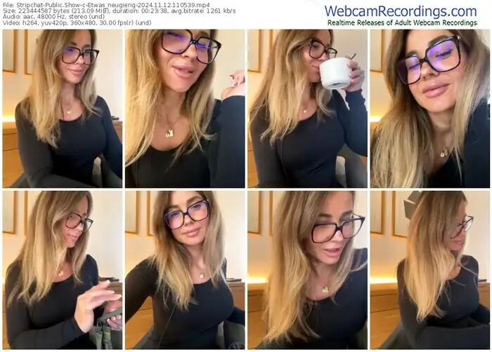 2024/11/12/stripchat-etwas_neugierig-11-05-39