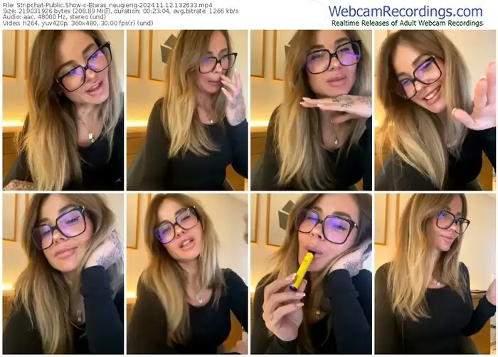 2024/11/12/stripchat-etwas_neugierig-13-26-33