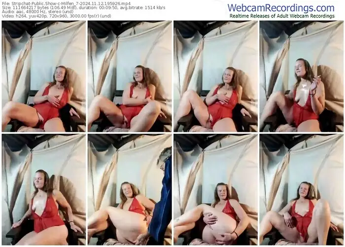 2024/11/12/stripchat-milfen_7-19-59-26