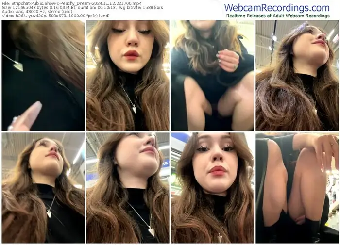 2024/11/12/stripchat-peachy_dream-22-17-00