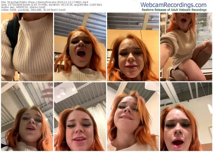2024/11/12/stripchat-pennyprincess-17-48-21