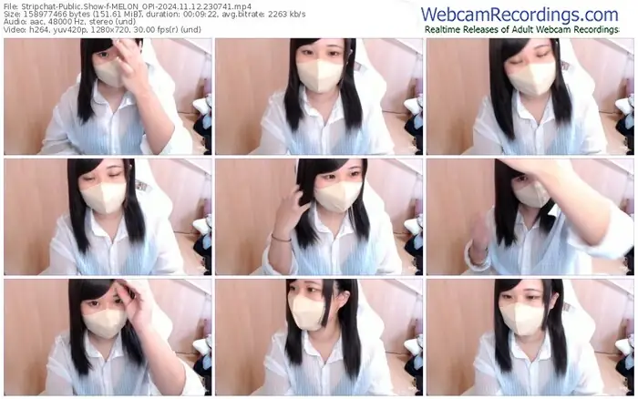 2024/11/12/stripchat-melon_opi-23-07-41