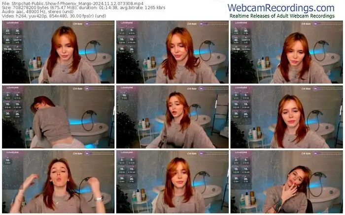 2024/11/12/stripchat-phoenix_margo-07-33-08
