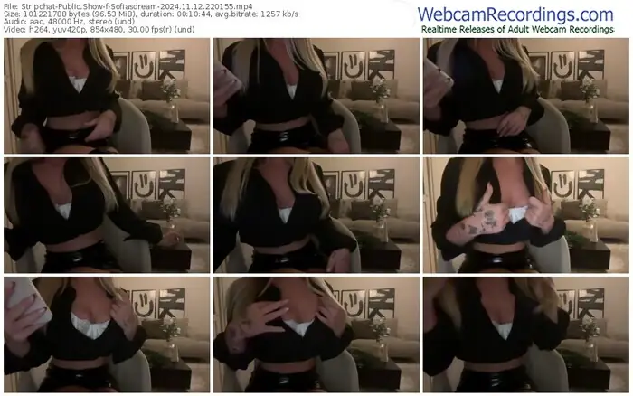 2024/11/12/stripchat-sofiasdream-22-01-55