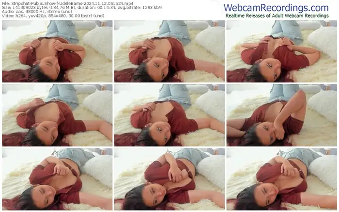 2024/11/12/stripchat-udelebarns-06-15-24